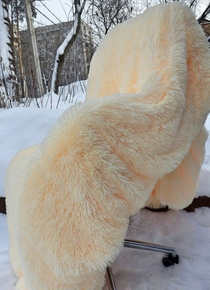 Лимонный
