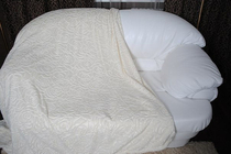 Розы-молочный