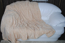 Розы-кремовый